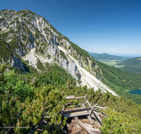 fileadmin/roha/images_galerie/orte_landschaft/Inzell/INZ-HEN-0009-D-roha-Inzell-Hendelberg-Frillensee.png