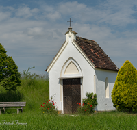 fileadmin/roha/images_galerie/kirche_religion/Laufen_-_Leobendorf/KKKM-LAUF-FRO-0007-D-roha-Kapelle-Laufen-Froschham.png