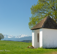 fileadmin/roha/images_galerie/kirche_religion/Petting/KKKM-PETT-0008-D-roha-Kapelle-Petting-Blumenwiese-Hochstaufen-Zwiesel-Fruehling.png