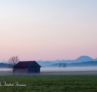 fileadmin/roha/images_galerie/orte_landschaft/Abtsdorf-Abtsdorfer-See/STIM-HAARM-ABTS-0003-D-roha-Stimmung-Haarmoos-Stadel-Sonnenaufgang.png