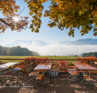 fileadmin/roha/images_galerie/orte_landschaft/Anger/Anger/Anger-Stimmung/AN-STROB-ALM-0001-D-roha-Anger-Strobl-Alm-Piding-Gastgarten-Herbst-Kastanie.png