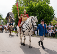 fileadmin/roha/images_galerie/brauchtum/Leonhardiritt/Holzhausen_01/Holzhausen-Ritt-2019/BR-PFRI-HOLZ-2019-1034-03-D-roha-Brauchtum-Pferdeumritt-Leonhardiritt-Holzhausen-Teisendorf.png