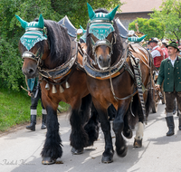 fileadmin/roha/images_galerie/brauchtum/Leonhardiritt/Holzhausen_01/BR-PFRI-HOLZ-2019-1037-02-D-roha-Brauchtum-Pferdeumritt-Leonhardiritt-Holzhausen.png