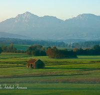 fileadmin/roha/reportagen/Haarmoos/HAARM-0047-D-roha-Abtsdorf-Laufen-Haarmoos-Morgenstimmung-Stadel-Hochstaufen-Zwiesel.png