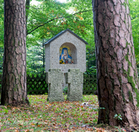 fileadmin/roha/images_galerie/kirche_religion/Laufen_-_Leobendorf/KKKM-LAUF-LEOB-UKR-0012-D-roha-Friedhof-Laufen-Leobendorf-Ukrainer-Kreuz-Gedenktafel-Herbst-Wald.png