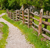 fileadmin/roha/images_galerie/wege/WEGE-KOE-OBERS-0004-D-roha-Wege-Koenigsee-Obersee-Zaun.png