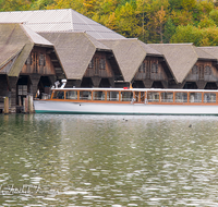 fileadmin/roha/images_galerie/orte_landschaft/Berchtesgaden/Koenigssee/BGD-KOE-SCHIFF-0001-0-3-D-roha-Berchtesgaden-Koenigssee-Schifffahrt-Bootshuette-Seelaende.png