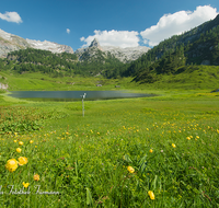 fileadmin/roha/images_galerie/orte_landschaft/Berchtesgaden/Nationalpark_Klausbachtal_Wimbachtal_-Klamm/BGD-NAT-FUNT-0004-05-D-roha-Berchtesgaden-Nationalpark-Funtensee-Schottmalhorn-Trollblume.png