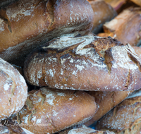 fileadmin/roha/images_galerie/kulinarisch/GAS-BROT-0015-D-roha-Brot-Laib.png