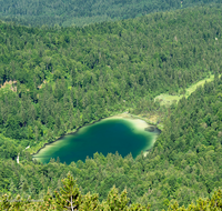 fileadmin/roha/images_galerie/orte_landschaft/Inzell/INZ-HEN-0015-D-roha-Inzell-Hendelberg-Frillensee.png