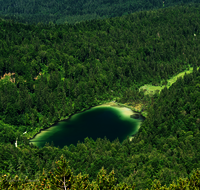 fileadmin/roha/images_galerie/orte_landschaft/Inzell/INZ-HEN-0015-D-roha-Inzell-Hendelberg-Frillensee.png