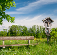 fileadmin/roha/images_galerie/kirche_religion/Ainring/KKKM-AINR-RAIN-0007-D-roha-Wegkreuz-Ainring-Rain-Gusseisen-Engel-Rose-Bank.png