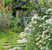 fileadmin/roha/images_galerie/Baum-natur-garten/Blumengarten-Blumen/LANDA-GART-WEG-0005-D-roha-Landart-Garten-Weg-Blumen.png