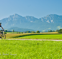 fileadmin/roha/images_galerie/orte_landschaft/Saaldorf/SPO-MOUN-ABTS-0018-D-roha-Sport-Mountainbike-Saaldorf-Abtsdorf-Hochstaufen-Zwiesel-Panorama.png