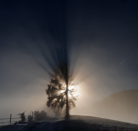 fileadmin/roha/images_galerie/stimmung-Sonne/STIM-ANG-FUERM-WI-0020-D-roha-Stimmung-Anger-Sonne-Winter-Fuermannalm.png