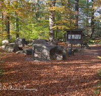 fileadmin/roha/images_galerie/orte_landschaft/Teisendorf/Geo-Park-Lehrpfad/TEI-GEOL-GAR-0015-D-roha-Teisendorf-Geologischer-Garten-Findlinge-Steine-Laub-Buche-Eiche-Herbst.png