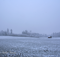 fileadmin/roha/images_galerie/Winter/WINT-AIN-STRASS-0001-D-roha-Winter-Ainring-Strass-Landschaft.png