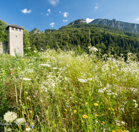 fileadmin/roha/images_galerie/orte_landschaft/Bad_Reichenhall/BAD-REI-PULV-0003-D-roha-Bad-Reichenhall-Pulverturm-Predigtstuhl-Blumenwiese.png