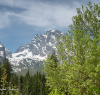 fileadmin/roha/images_galerie/orte_landschaft/Berchtesgaden/Watzmann/BGD-WATZ-0027-0-08-D-roha-Berchtesgaden-Watzmann-Gipfel-Fruehling.png