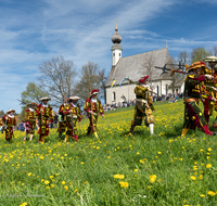 fileadmin/roha/images_galerie/brauchtum/Leonhardiritt/Traunstein-Georgiritt/BR-PFRI-TRAUNST-2019-1054-03-1-D-roha-Brauchtum-Pferdeumritt-Georgiritt-Traunstein-Ettendorf.png