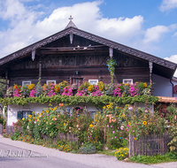 fileadmin/roha/images_galerie/architektur-Haeuser/HAEU-BAU-PETT-0001-D-roha-Haus-Petting-Blumenschmuck-Holzblock.png