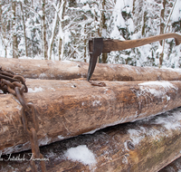 fileadmin/roha/images_galerie/Landwirtschaft/Forst-Holzknecht/HOLZKNE-HAM-DET-0007-D-roha-Holzknecht-Schlitten-Winter-Siegsdorf-Hammer-Winterzug-Kette-Sapie.png