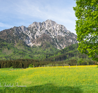 fileadmin/roha/images_galerie/orte_landschaft/Anger/Aufham/LANDS-ANG-AUFH-0011-D-roha-Landschaft-Anger-Aufham-Hochstaufen-Fruehjahr.png