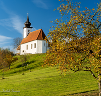 fileadmin/roha/images_galerie/kirche_religion/Saaldorf/SAAL-SILL-0022-D-roha-Saaldorf-Sillersdorf-Kirche-St-Georg-Herbst-Nebel.png