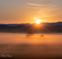 fileadmin/roha/images_galerie/orte_landschaft/Haarmoos/SO-AU-HAARM-0030-0514-01-D-roha-Sonne-Sonnenaufgang-Haarmoos-Nebel.png