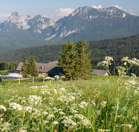 fileadmin/roha/images_galerie/orte_landschaft/Stoisser-Alm/TEI-STO-0029-11-01-D-roha-Teisendorf-Anger-Stoisseralm-Untersberg-Blumenwiese-Almwiese.png