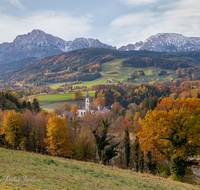 fileadmin/roha/images_galerie/orte_landschaft/Anger/Hoeglwoerth/AN-HOE-PAN-0094-1-D-M--roha-Anger-Hoeglwoerth-Herbst-Hochstaufen.png