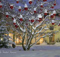 fileadmin/roha/images_galerie/orte_landschaft/Bad-Reich-Kurgarten-Beleuchtung/BAD-REI-KURGAR-WI-0008-D-roha-Bad-Reichenhall-Kurgarten-Rotunde-Christbaum-Christbaumkugel-rot-Schnee-Winter.png