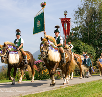 fileadmin/roha/images_galerie/brauchtum/Leonhardiritt/Inzell/BR-PFRI-INZ-0005-D-roha-Brauchtum-Pferdeumritt-Inzell-Michaeliritt-Pferd-Reiter.png