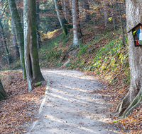 fileadmin/roha/images_galerie/kirche_religion/Anger/KKKM-ANG-HOEG-0013-D-roha-Weg-Kreuz-Anger-Hoeglwoerth-See-Wanderweg-Schutzmantel-Madonna-Herbst.png