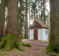 fileadmin/roha/images_galerie/kirche_religion/Teisendorf/KKKM-TEIS-RUECK-0036-10-D-roha-Kapelle-Rueckstetten-Maria-Tann-Teisendorf-Sonne.png