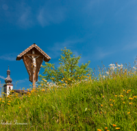 fileadmin/roha/images_galerie/kirche_religion/Teisendorf/KKKM-TEIS-WIM-0002-D-roha-Wegkreuz-Teisendorf-Wimmern-Blumenwiese-Kirchturm.png