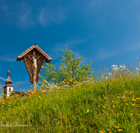 fileadmin/roha/images_galerie/kirche_religion/Teisendorf/KKKM-TEIS-WIM-0002-D-roha-Wegkreuz-Teisendorf-Wimmern-Blumenwiese-Kirchturm.png