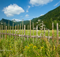 fileadmin/roha/images_galerie/Zaun-Bank/LANDA-ZAUN-RUH-BIATH-0001-D-roha-Landart-Zaun-Hanichen-Ruhpolding-Biathlonzentrum.png