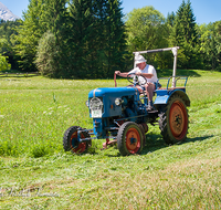 fileadmin/roha/images_galerie/Landwirtschaft/LANDW-MASCH-MAEH-BGD-0012-D-roha-Landwirtschaft-Berchtesgaden-Bischofswiesen-Traktor-Maehen.png