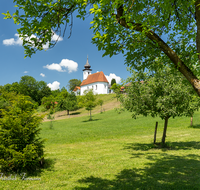 fileadmin/roha/images_galerie/orte_landschaft/Saaldorf/SAAL-SILL-0005-D-roha-Saaldorf-Sillersdorf-Kirche-St-Georg-Obst-Baum.png