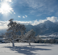 fileadmin/roha/images_galerie/orte_landschaft/Anger/Aufham/AUF-WI-FELB-0002-D-roha-Anger-Aufham-Felber-Hochstaufen-Baum-Panorama-Winter-Schnee.png