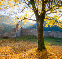 fileadmin/roha/images_galerie/orte_landschaft/Bad_Reichenhall/BAD-REI-BURG-KAR-0005-D-roha-Bad-Reichenhall-Karlstein-Burg-Mauer-Sonnenuntergang.png