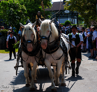 fileadmin/roha/images_galerie/brauchtum/Leonhardiritt/Holzhausen_01/Holzhausen-Ritt-2023/BR-PFRI-HOLZ-2023-1033-02-D-roha-Brauchtum-Leonhardiritt-Holzhausen-Teisendorf..png