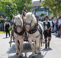 fileadmin/roha/images_galerie/brauchtum/Leonhardiritt/Holzhausen_01/Holzhausen-Ritt-2023/BR-PFRI-HOLZ-2023-1033-02-D-roha-Brauchtum-Leonhardiritt-Holzhausen-Teisendorf..png