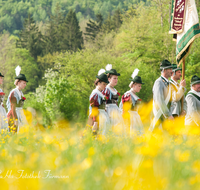 fileadmin/roha/images_galerie/brauchtum/Tracht/Trachtenwallfahrt_Raiten/BR-TRACH-WALL-RAI-0019-D-roha-Tracht-Trachtenwallfahrt-Raiten-Chiemgau-Alpenverband-Blumenwiese.png