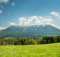 fileadmin/roha/images_galerie/orte_landschaft/Piding/LANDS-PID-0009-D-roha-Landschaft-Piding-Johannishoegl-Untersberg-Blumenwiese.png