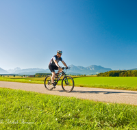 fileadmin/roha/images_galerie/Freizeit-Sport/Mountainbike-Radfahren/SPO-MOUN-ABTS-0013-D-roha-Sport-Mountainbike-Saaldorf-Abtsdorf-Hochstaufen-Watzmann-Panorama.png