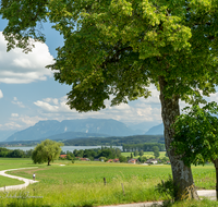 fileadmin/roha/images_galerie/orte_landschaft/Waging/WAG-SEE-0005-20-D-roha-Waginger-See-Bicheln-Untersberg-Weg.png