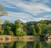 fileadmin/roha/images_galerie/orte_landschaft/Anger/Hoeglwoerth/AN-HOE-0054-8-1-03-D-roha-Anger-Hoeglwoerth-See-Wasser-Huette-Hochstaufen-Fruehling.png