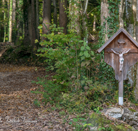 fileadmin/roha/images_galerie/kirche_religion/Piding/KKKM-PID-0008-D-roha-Wegkreuz-Piding-Wald-Weg.png